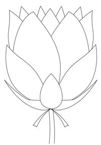 200x285 Pics For Gt Lotus Flower Drawing Black And White Spa