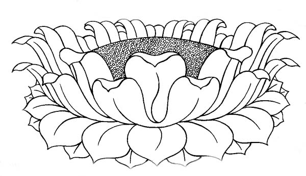 600x346 Buddhist Artwork Line Art Lotus Symbol 3