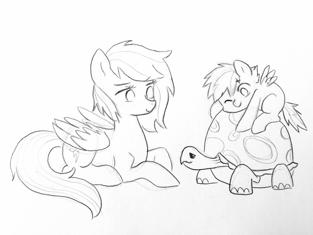 1024x768 Tortoise Buddy By Kilalaaa