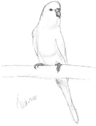 323x424 Bird Kate's Art Corner