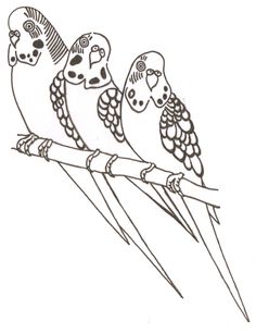 236x306 Budgie Drawing Drawing Ideas Budgies, Bird