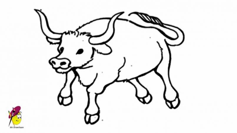 805x453 Drawing How To Draw A Buffalo Video Also How To Draw A Buffalo