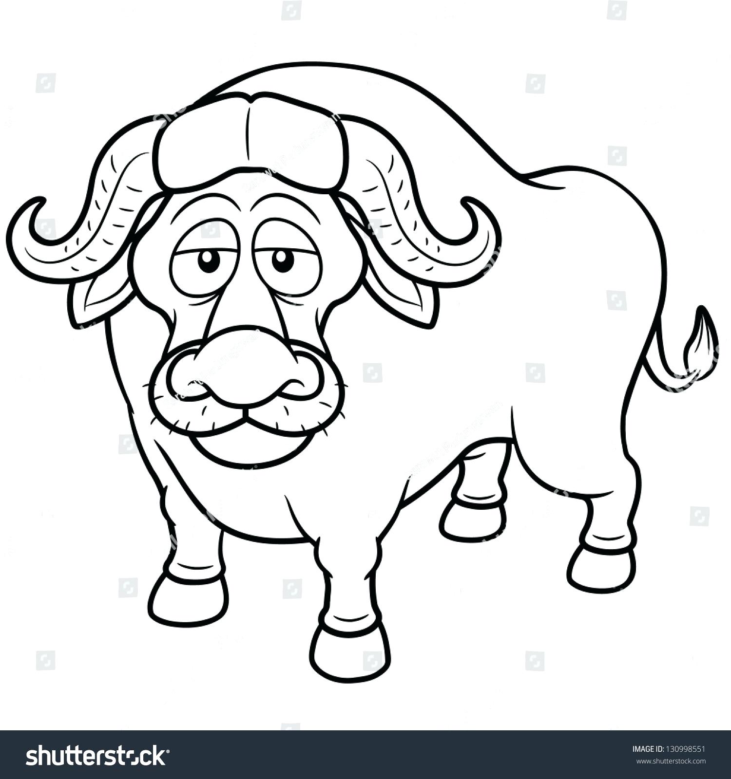 1500x1600 Coloring Buffalo Coloring Pictures Page Free Printable Pages