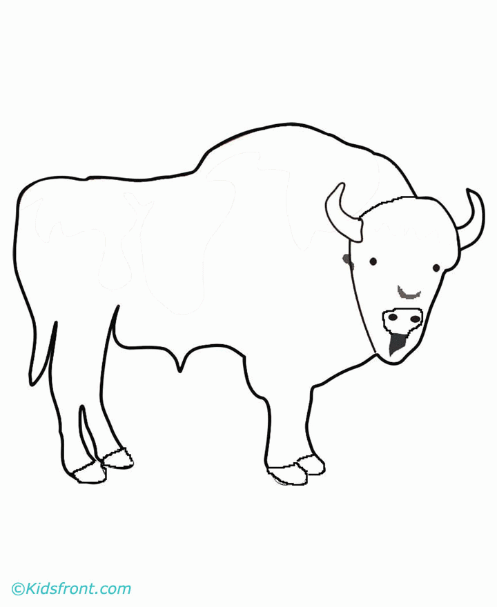 720x880 Coloring Pages Buffalo Many Interesting Cliparts