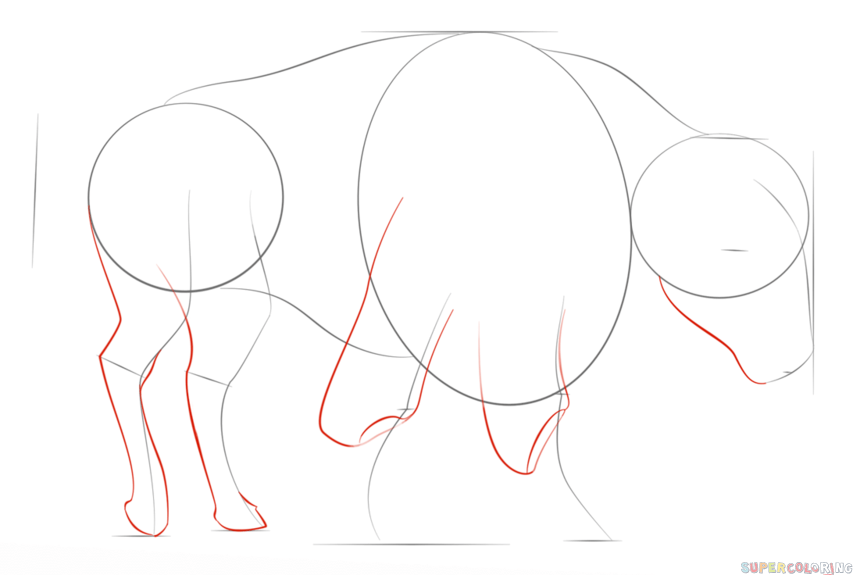 853x575 Drawing How Draw A Buffalo Video In Conjunction With How