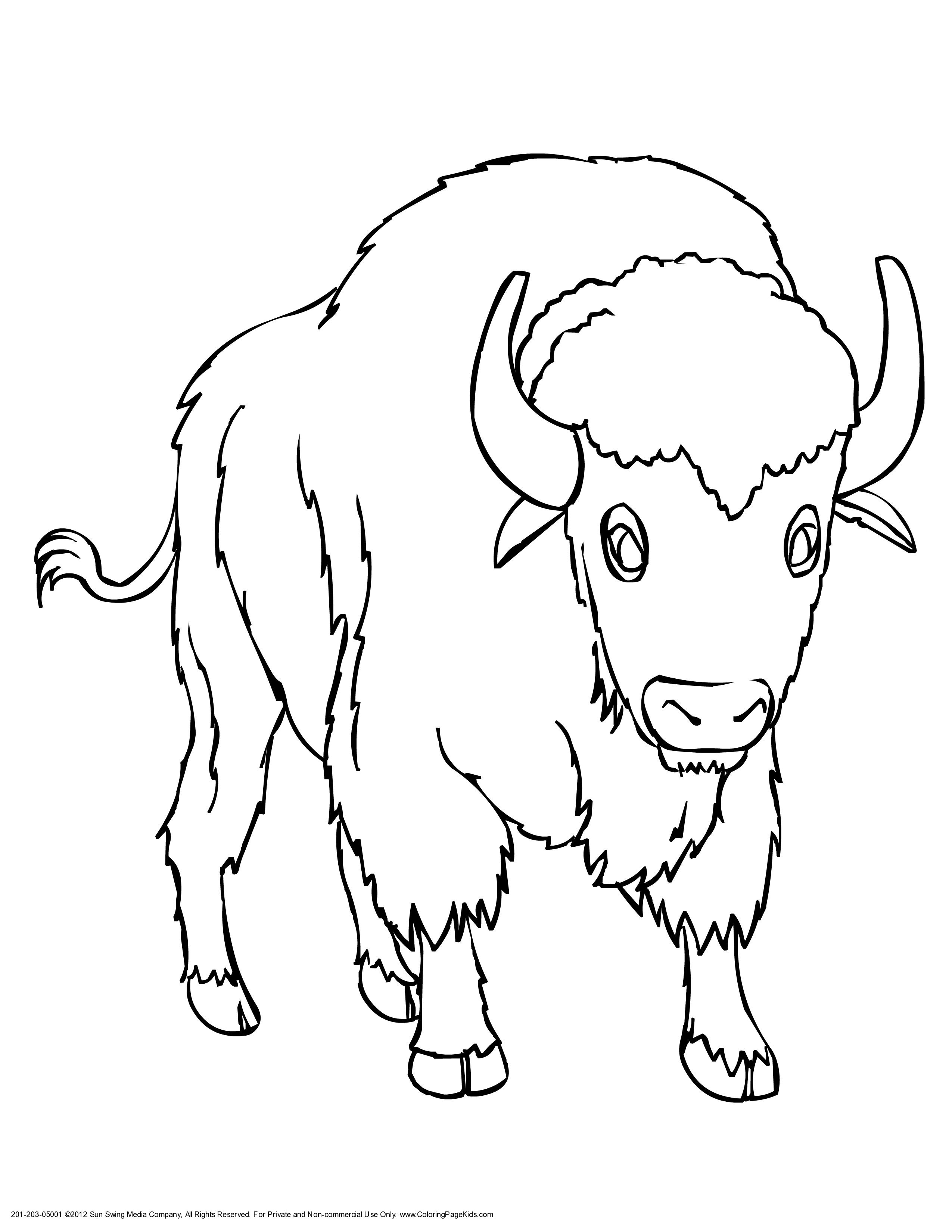 2550x3300 Drawing Of A Buffalo Download Coloring Pages Draw A Buffalo
