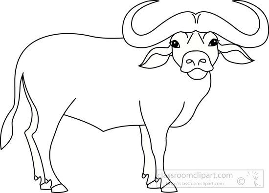 550x395 Gallery White Buffalo Clip Art,