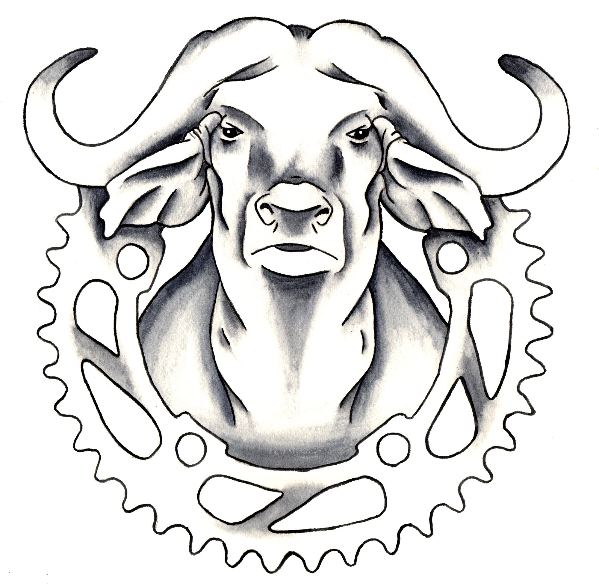 2000x1948 African Buffalo Clipart Sketch
