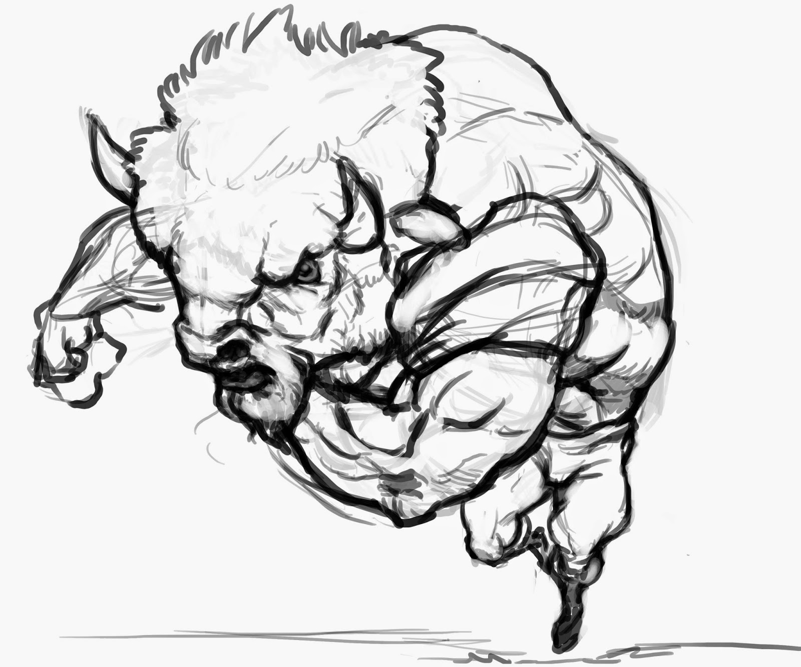 1600x1334 Alessandro Piedimonte's Blog Billy The Buffalo