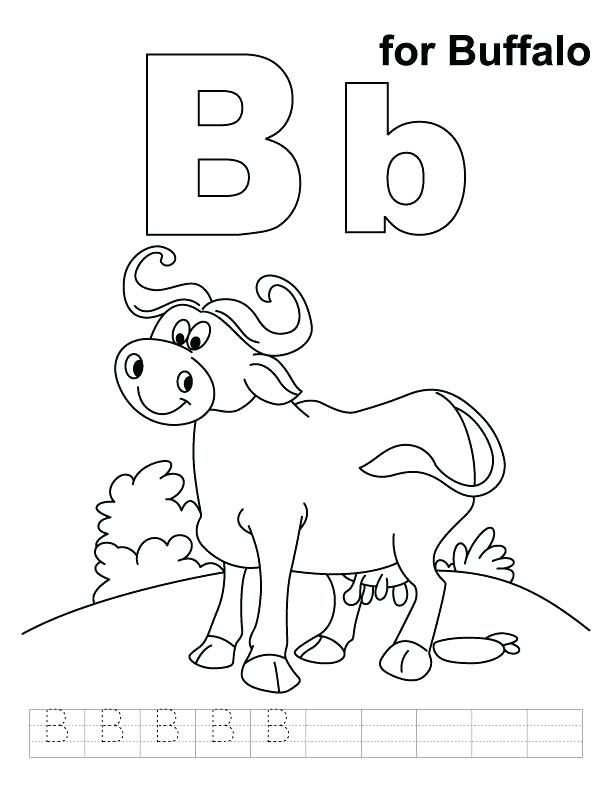 612x792 Buffalo Bills Coloring Pages Buffalo Coloring Pages For Kids