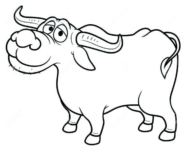 618x502 Buffalo Coloring Pages