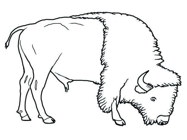 618x464 Buffalo Coloring Pages Buffalo Bills Coloring Pages Bison Coloring