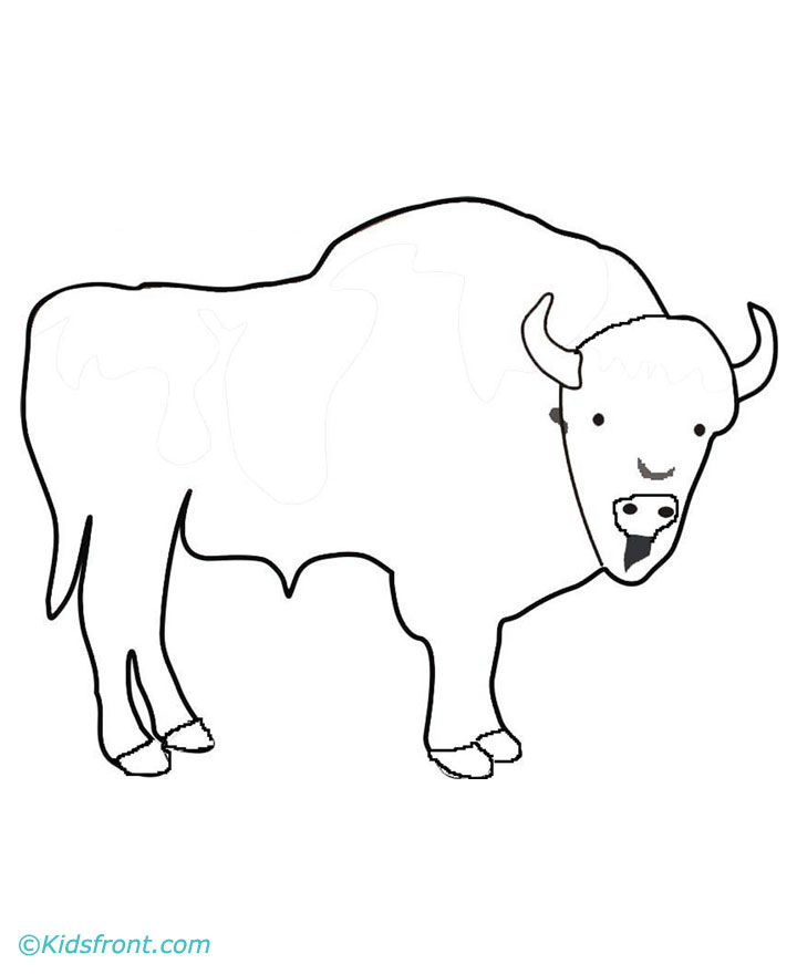 720x880 Buffalo Coloring Pages For Kids