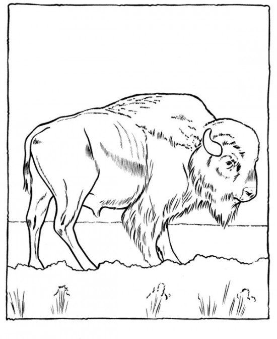 550x672 Printable Zoo Animals Coloring Pages For Kids Ccm