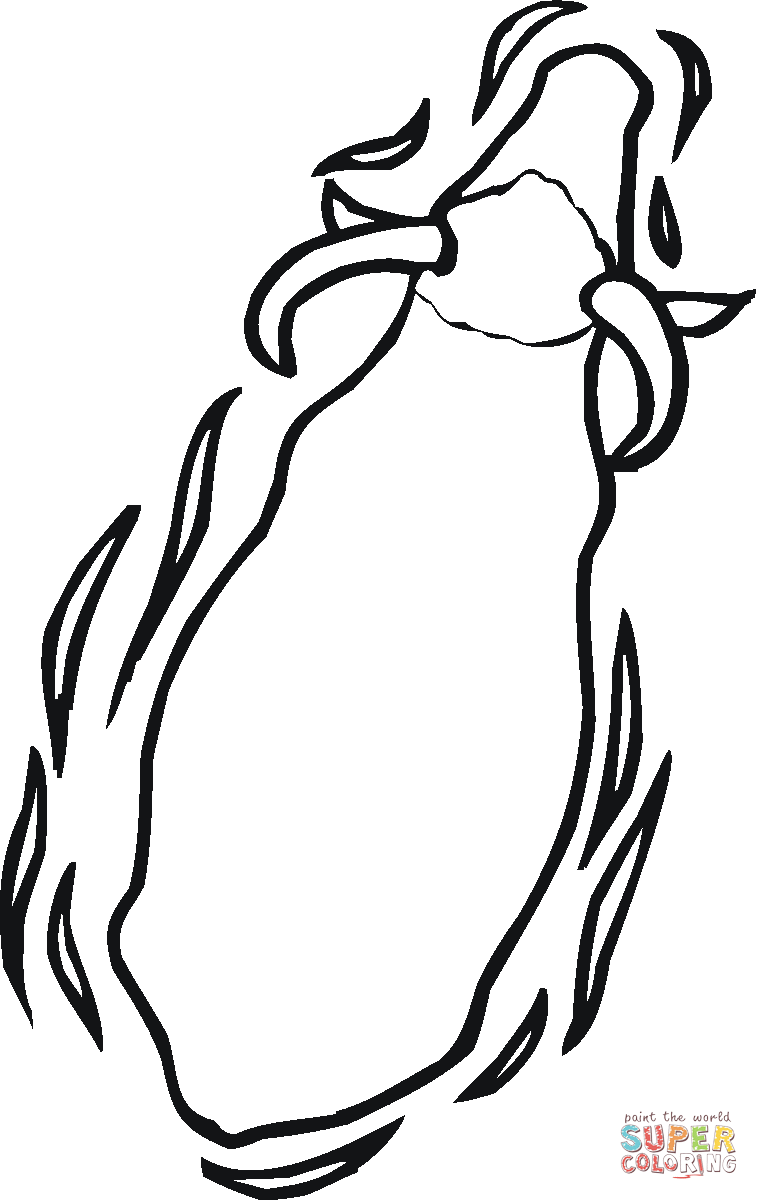 759x1200 Water Buffalo From The Top Coloring Page Free Printable Coloring