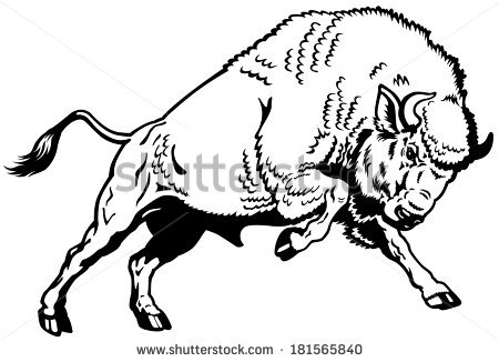 450x326 Bison Clipart Buffalo Head