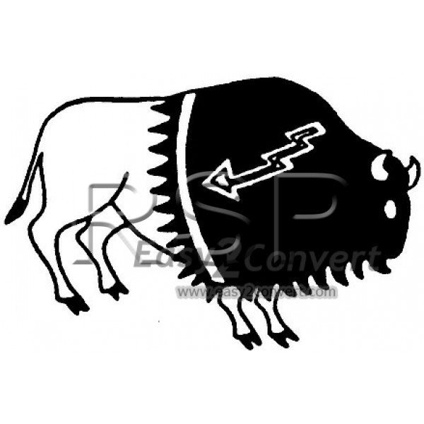 600x600 Buffalo Native American Design