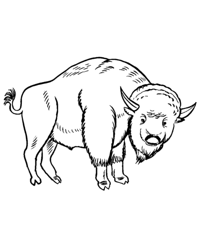 670x820 Coloring Pages Buffalo 525965