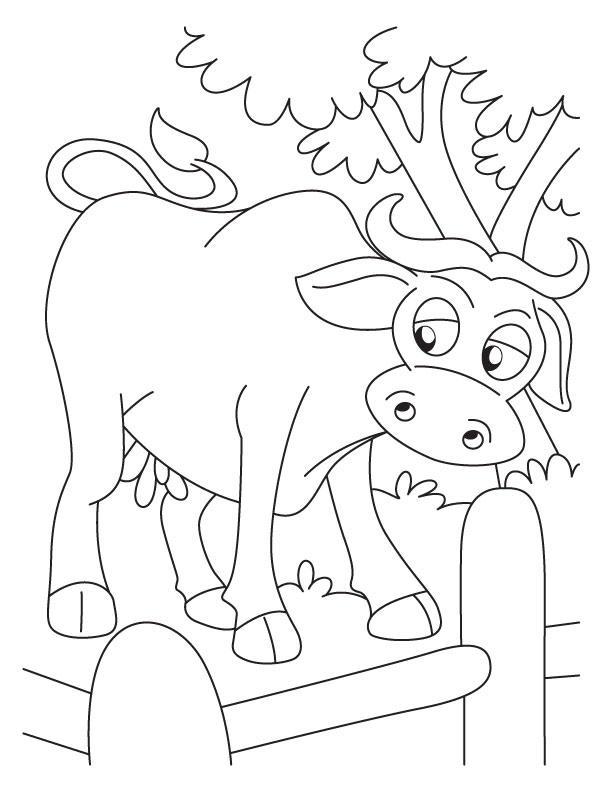612x792 Coloring Pages Draw A Buffalo