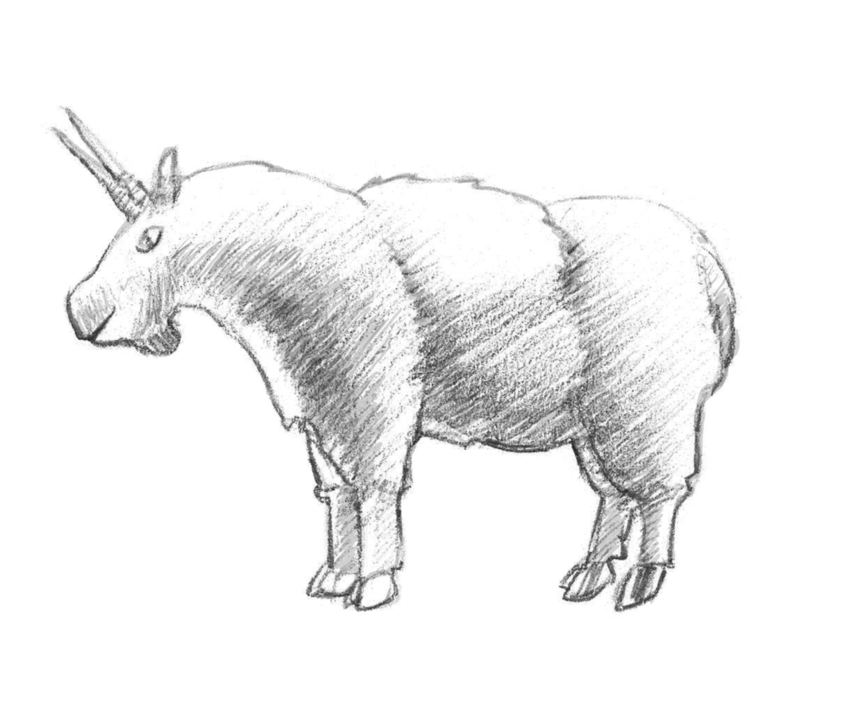 1236x1020 Drawing How Draw A Buffalo Wing In Conjunction With How