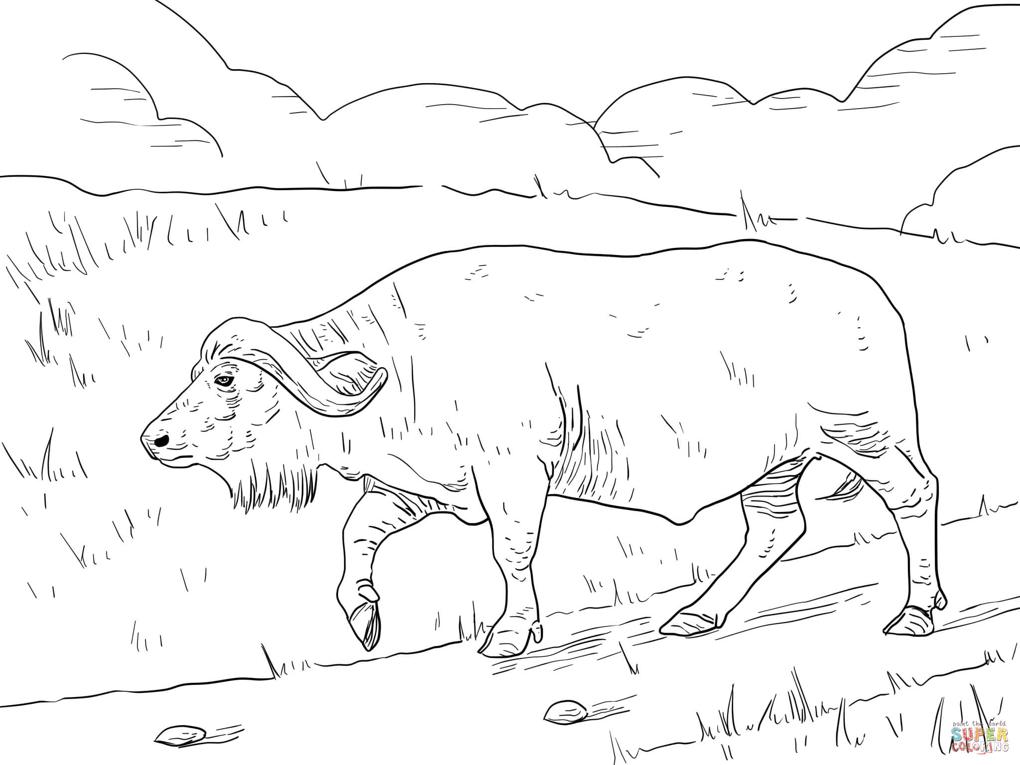 2048x1536 Buffalo Coloring Pages Free Coloring Pages