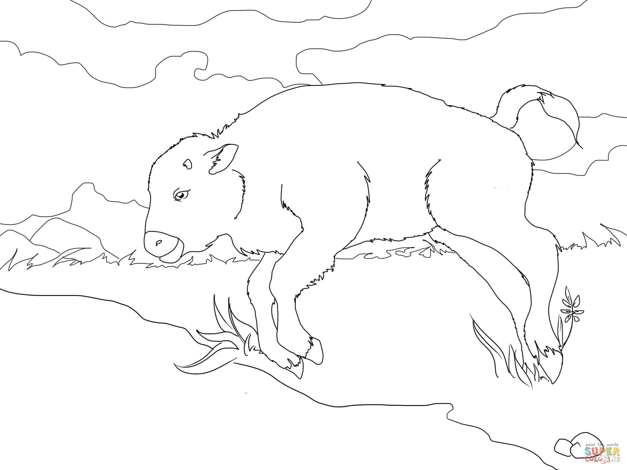 2048x1536 Coloring Pages Winsome Coloring Pages Draw A Buffalo 02 Bison