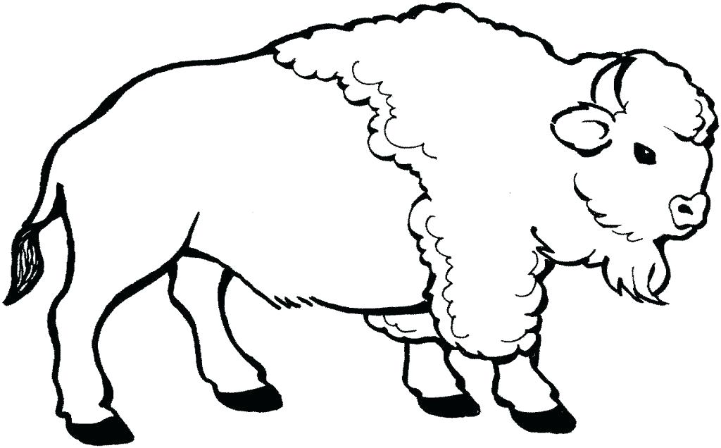 1024x636 Buffalo Coloring Pages Nice Bison Coloring Page For Kids Buffalo