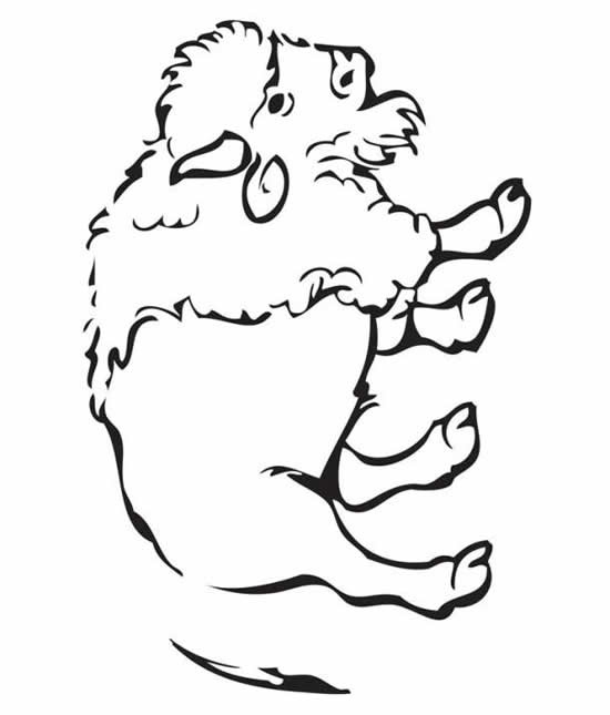 550x645 Buffalo Outline Clipart