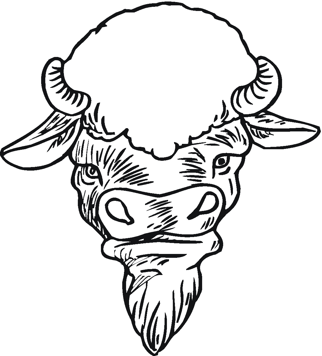 1088x1200 Free Buffalo And Bison Coloring Pages