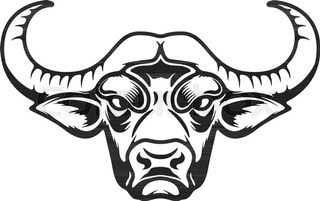 320x201 Head Of Buffalo.face Of Bison,bull.graphic Sketch Hand Drawn