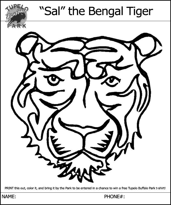 680x816 Tiger Faces My Tiger Blog!