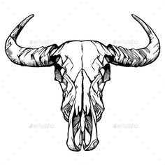236x236 Very Large Water Buffalo Skull 66 Buffalo Skull