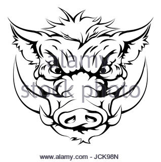 318x320 Wild Boar Drawing Face Stock Vector Art Amp Illustration, Vector