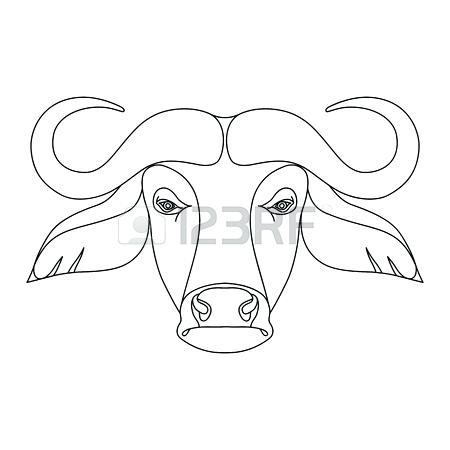 450x450 Buffalo Outline Buffalo Skull Drawings For Buffalo Outline Tattoo