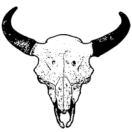 270x270 Buffalo Skull Drawing