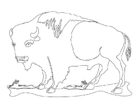 Buffalo Line Drawing at GetDrawings | Free download