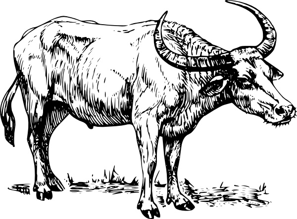 600x444 Buffalo Clip Art Free Vector In Open Office Drawing Svg ( Svg