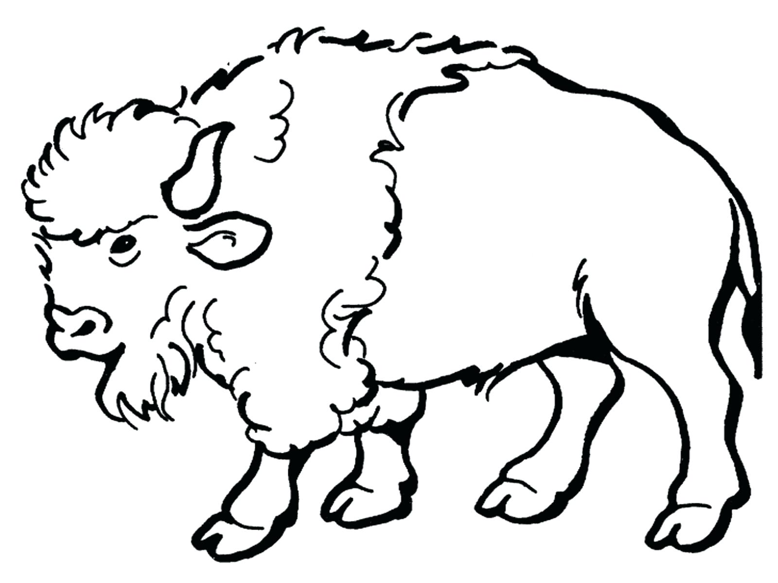 1600x1200 Coloring Pages Enchanting Buffalo Bills Coloring Pages. Buffalo