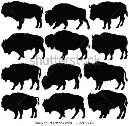 450x441 Bison Clipart Buffalo