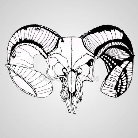 450x450 Anatomy Illustration. Engraved Hand Drawn In Old Sketch