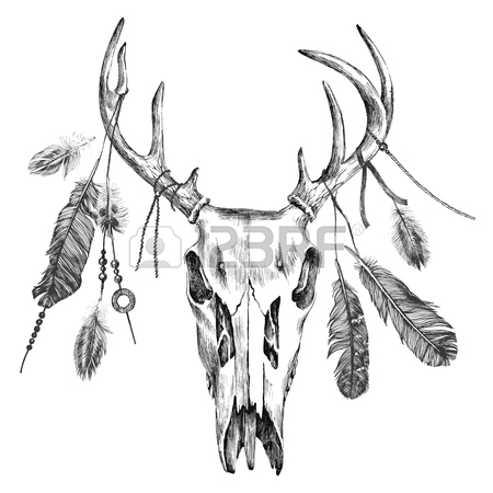 450x450 936 Deer Skull Stock Illustrations, Cliparts And Royalty Free Deer