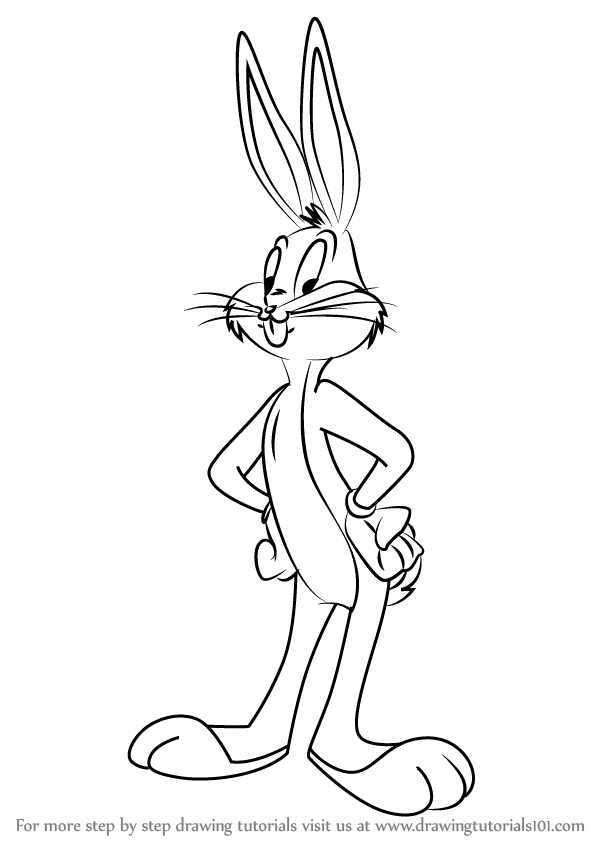 598x844 Learn How To Draw Bugs Bunny From Animaniacs (Animaniacs) Step By