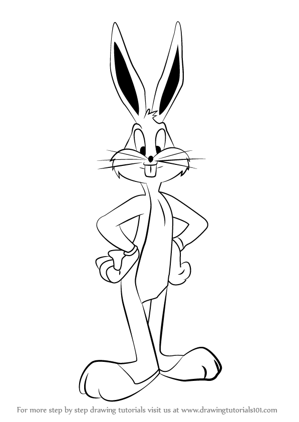 597x842 Learn How To Draw Bugs Bunny From Looney Tunes (Looney Tunes) Step