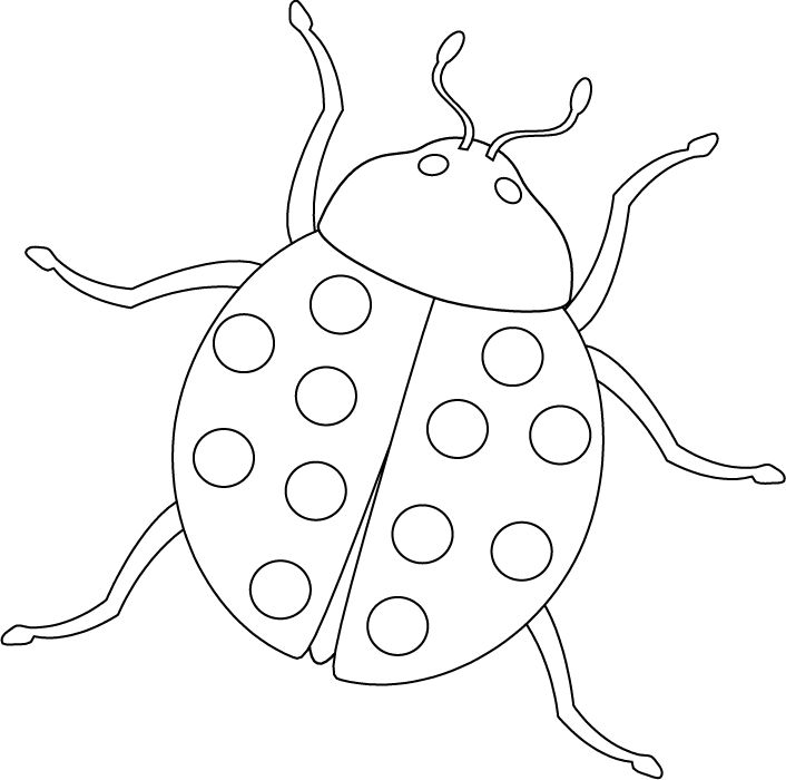 Lightning Bug Clipart at GetDrawings | Free download
