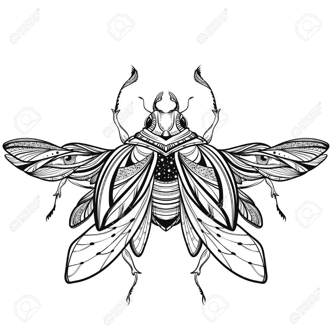 1300x1300 Beetle Bug Tattoo Drawing. Scarab Bug Illustration Royalty Free