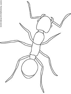 236x314 Bug Line Drawing Line Drawings Amp Printables