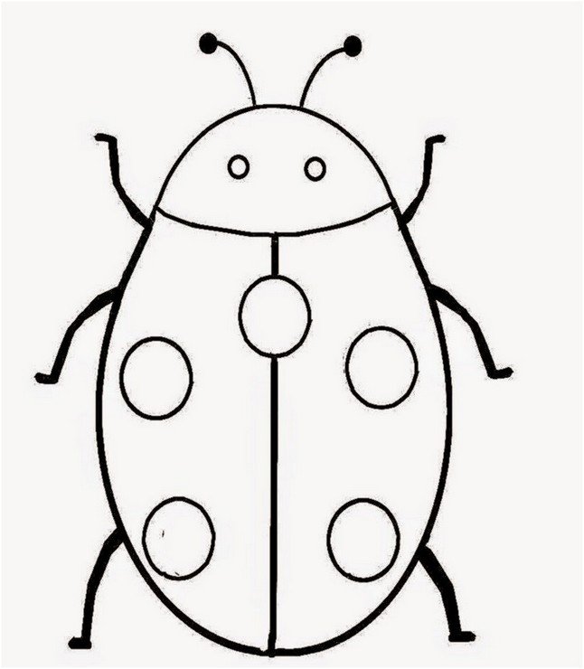 646x740 Coloring Page Lady Bug Printable Drawing Board Weekly