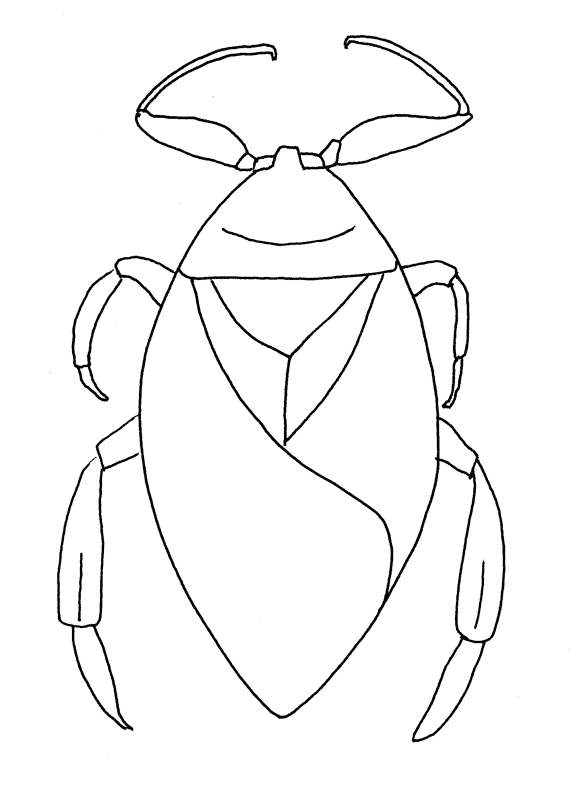 Bugs Drawing at GetDrawings | Free download