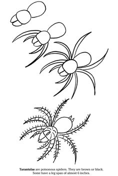 236x352 How To Draw A Flower Step By Step. This Cartoon Flower Is An Easy