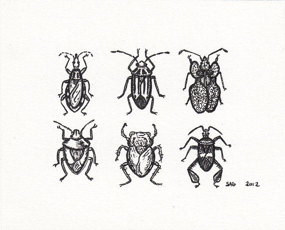 570x460 Items Similar To Mini True Bugs Pen And Ink Drawing